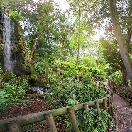 Calme Appart Renove Jardin Des Plantes Busca Toulouse Buitenkant foto